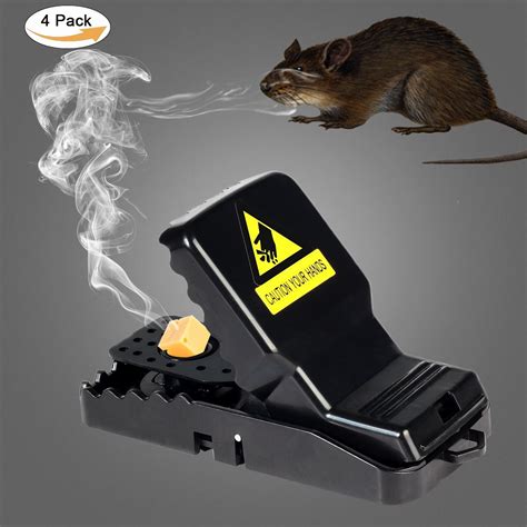 mouse traps on ebay